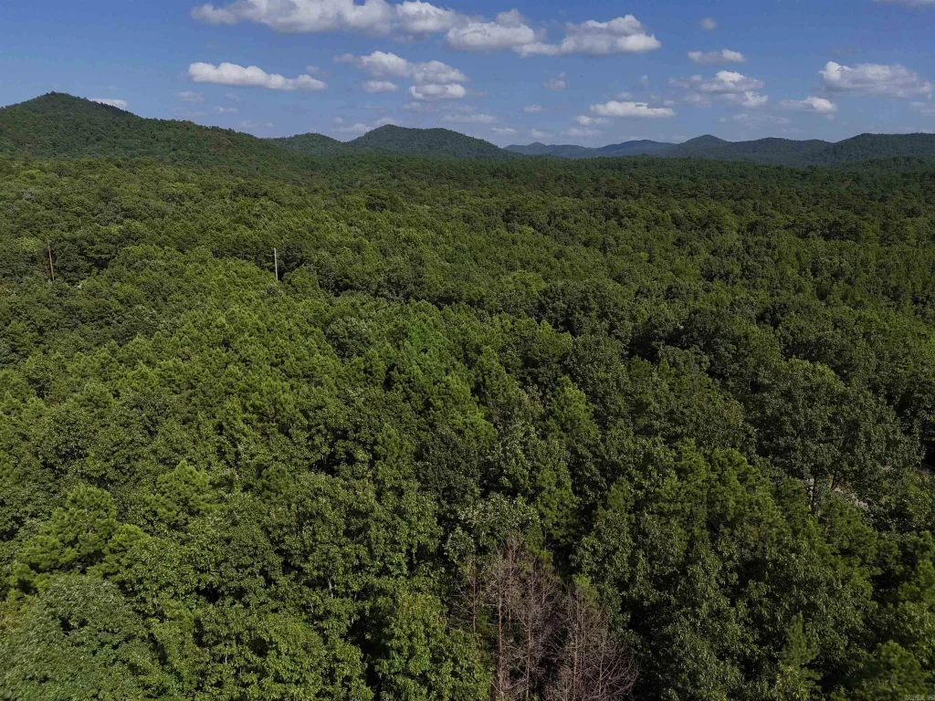 Lot 11 Polk Road 78, Mena