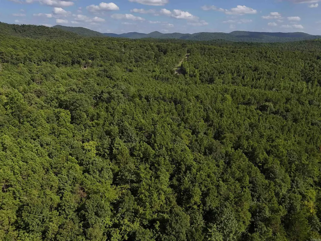 Lot 18 Polk Road 78, Mena