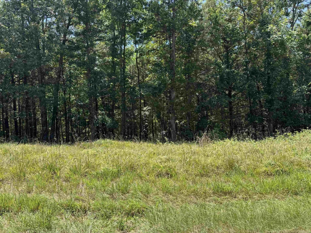 00 Davidson Circle, Greers Ferry