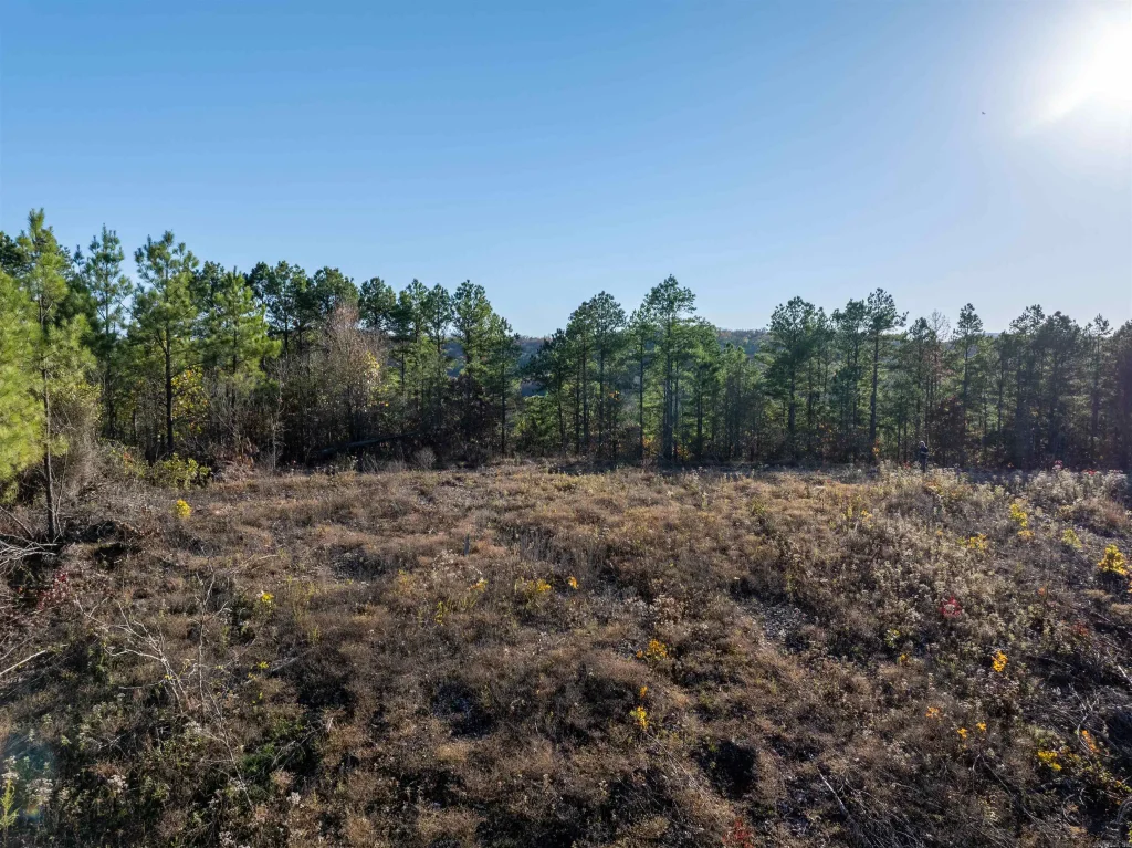 Lot 9 Polk Road 617, Mena