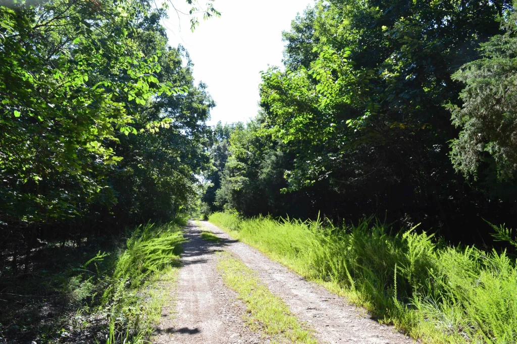 Tbd Rainwood Lane, Lead Hill