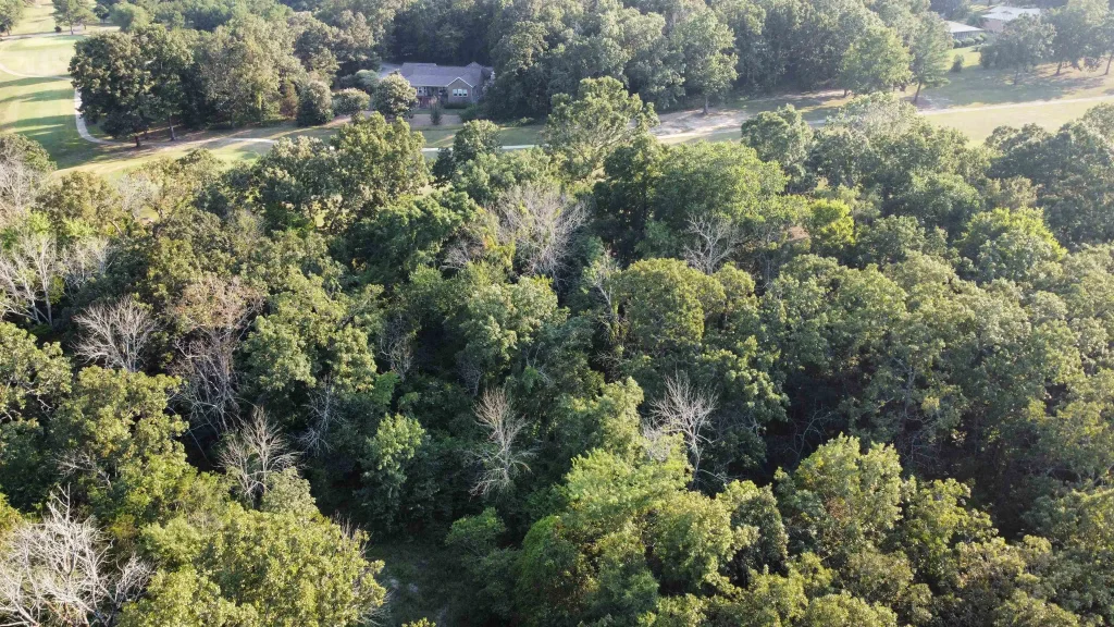 108 Par Circle, Horseshoe Bend