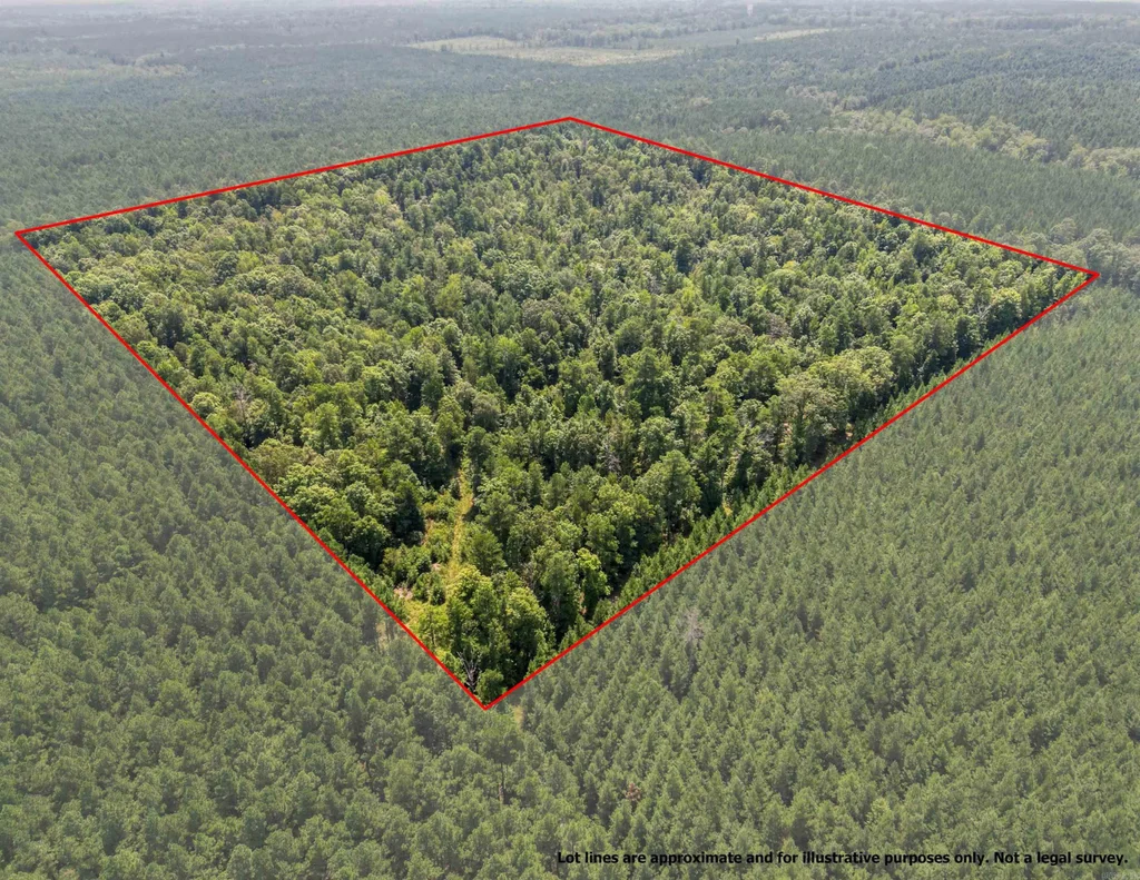 Tbd 9808 Forestry Rd, Sheridan