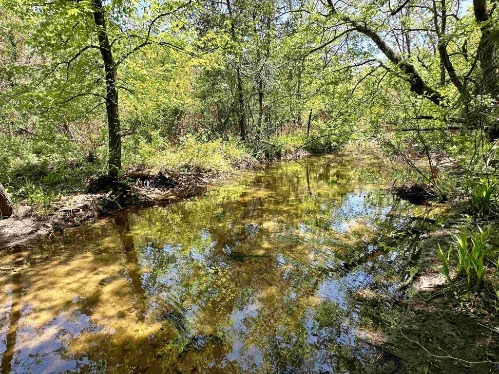 000 N Boswell Road, Calico Rock