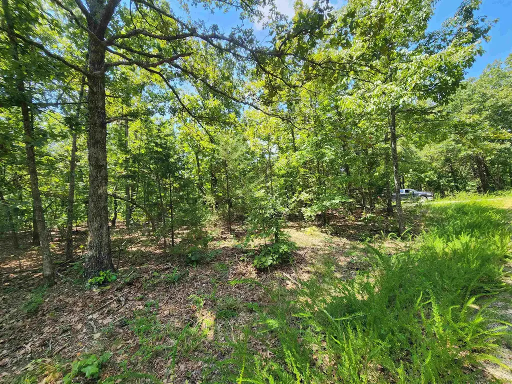 L-1,2,3, B-19 Nicatouse Drive, Cherokee Village
