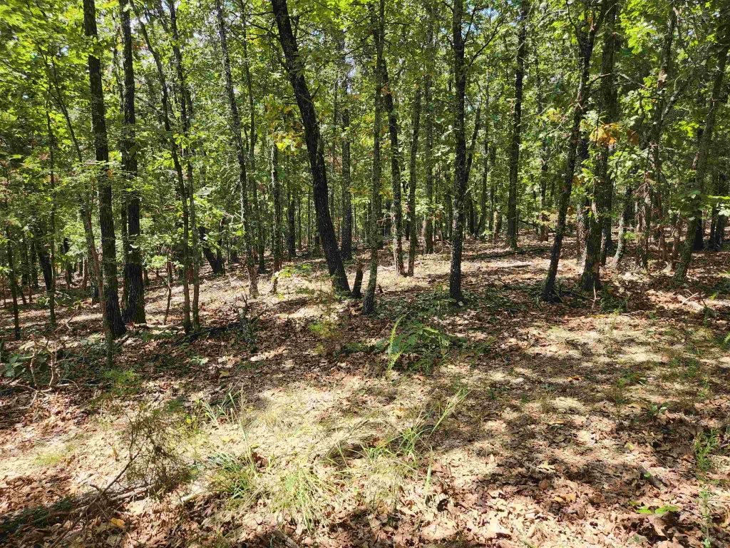 L101-103, B-3 Lightning Circle, Highland