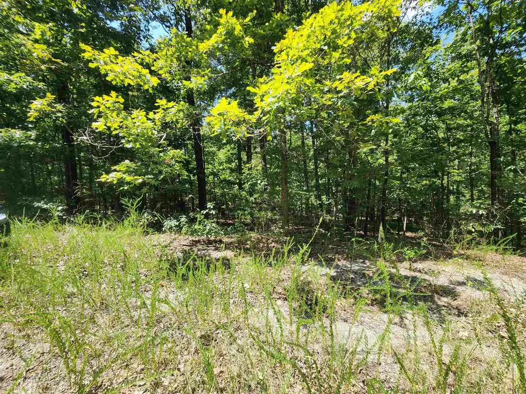 L-13, B-6 Calumet Drive, Cherokee Village