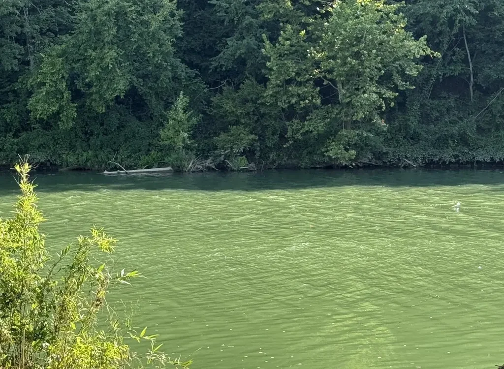 00 Highway 63, Hardy