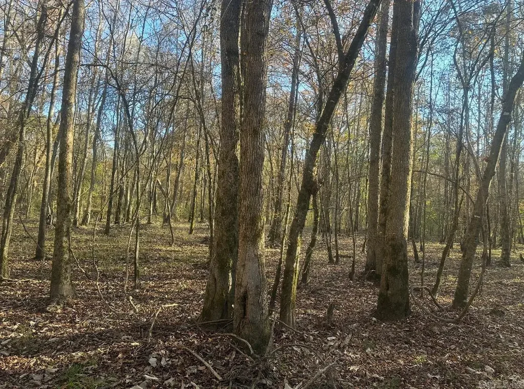 260910 Hollis Rd, Rison