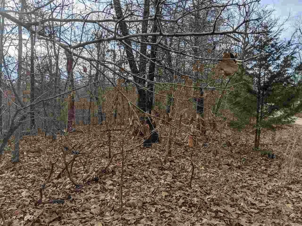 Cherokee Acres Drive, Cherokee Village