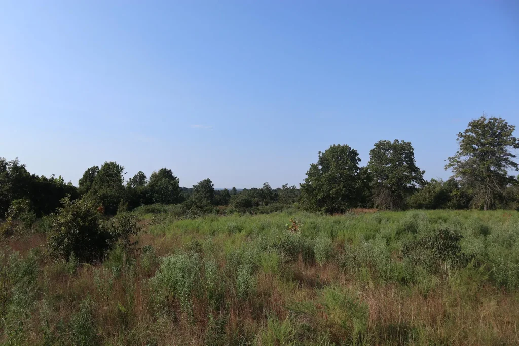 Tbd Brookgrove Trl, Camp