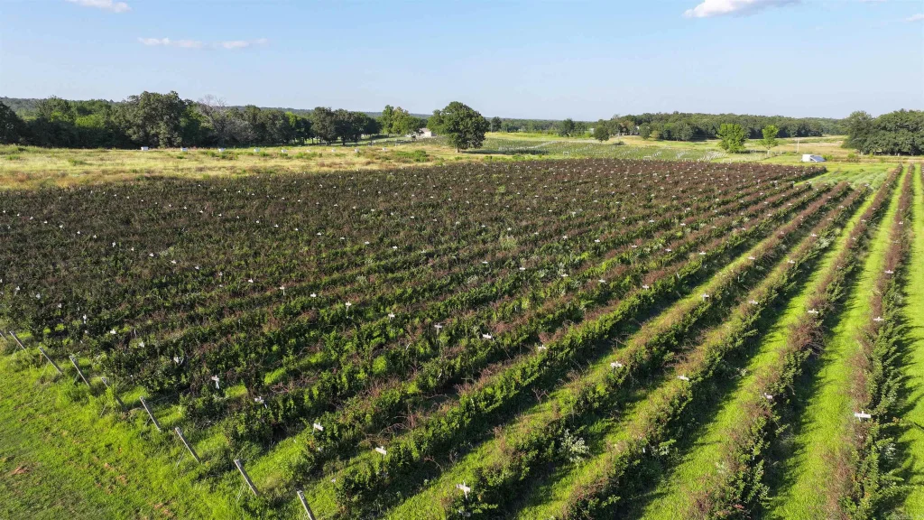 35 Friday Lane, Sherwood