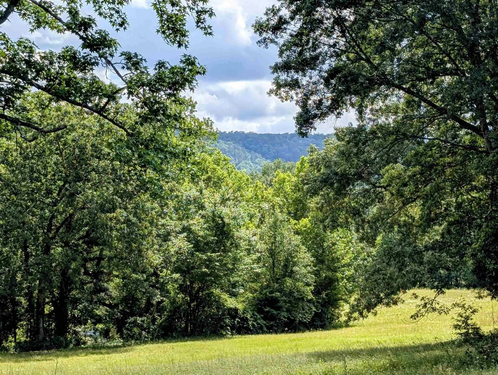 Unk State Highway 144, Smithville