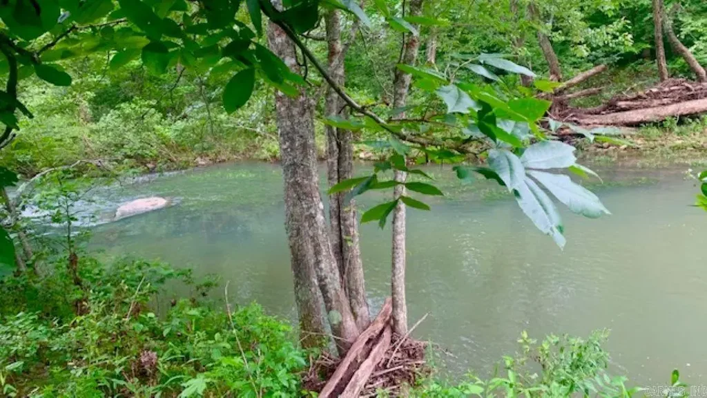 1602 Turkey Creek Road, Mountain View