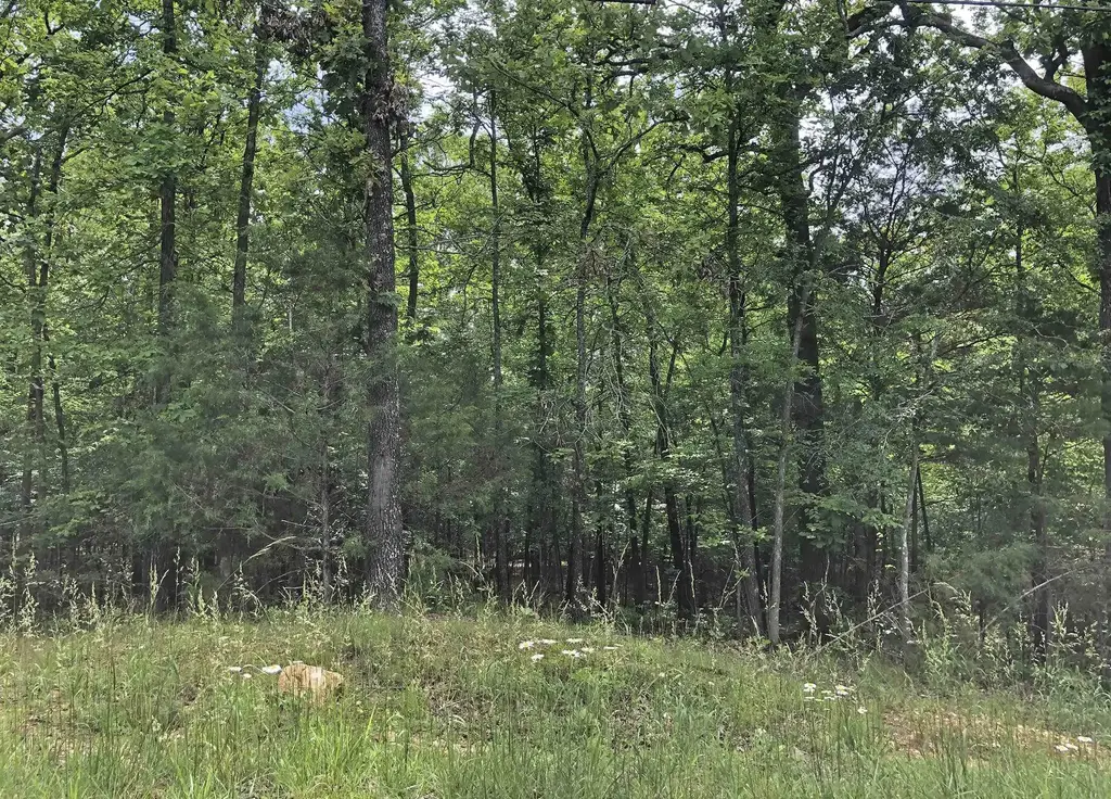 Okmulgee Drive, Cherokee Village