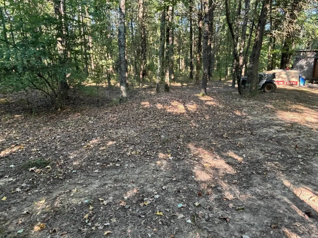 183 J And J Lane, Austin