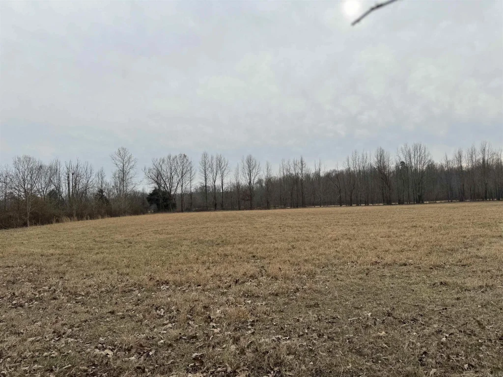 Tbd Greene 611 Rd, Paragould