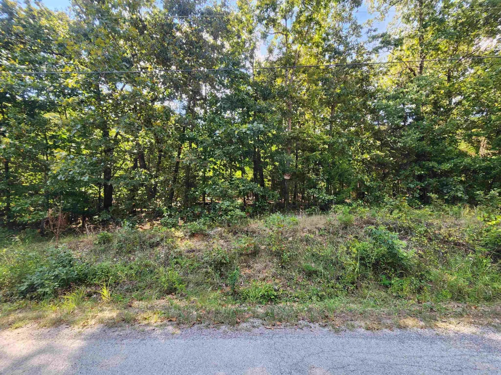 L-41, B-8 Winnebago Drive, Cherokee Village