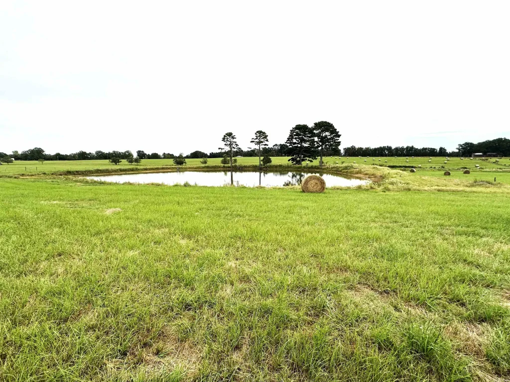 80 Spires Road, Damascus