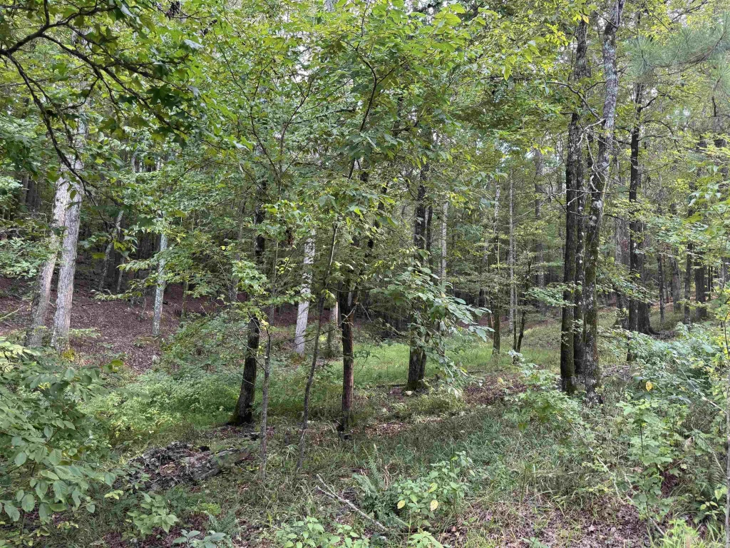 22 Purista Lane, Hot Springs Village