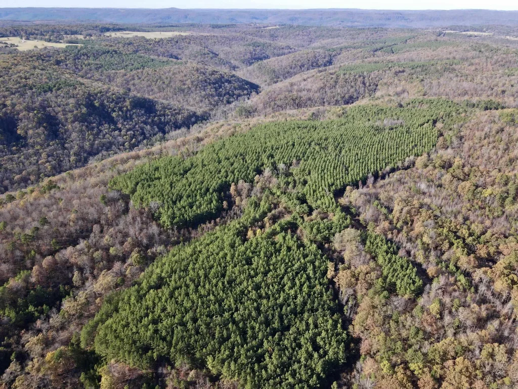 000 Hwy 16 W, Clinton