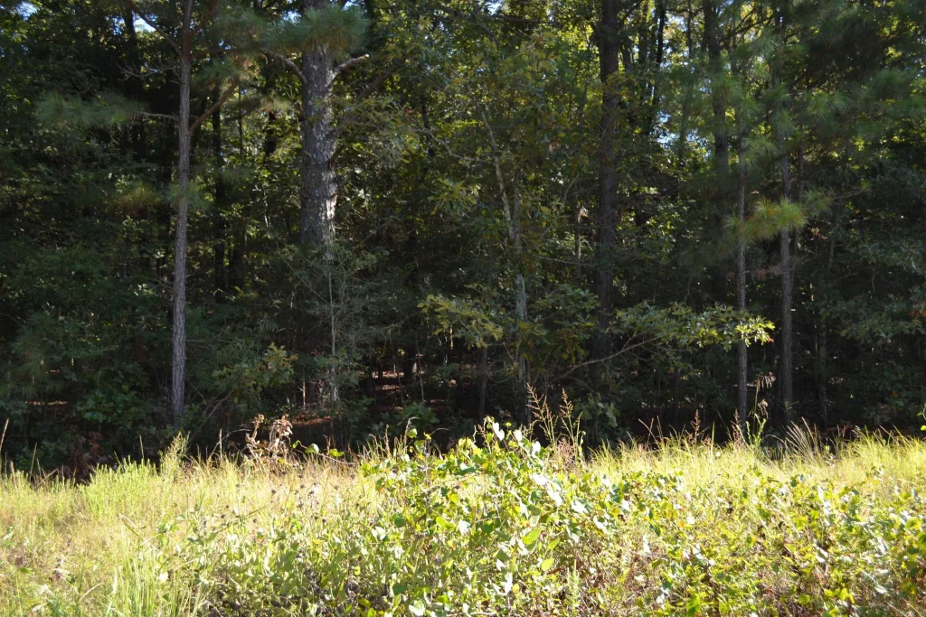 00 W Carmichael Road, Cabot