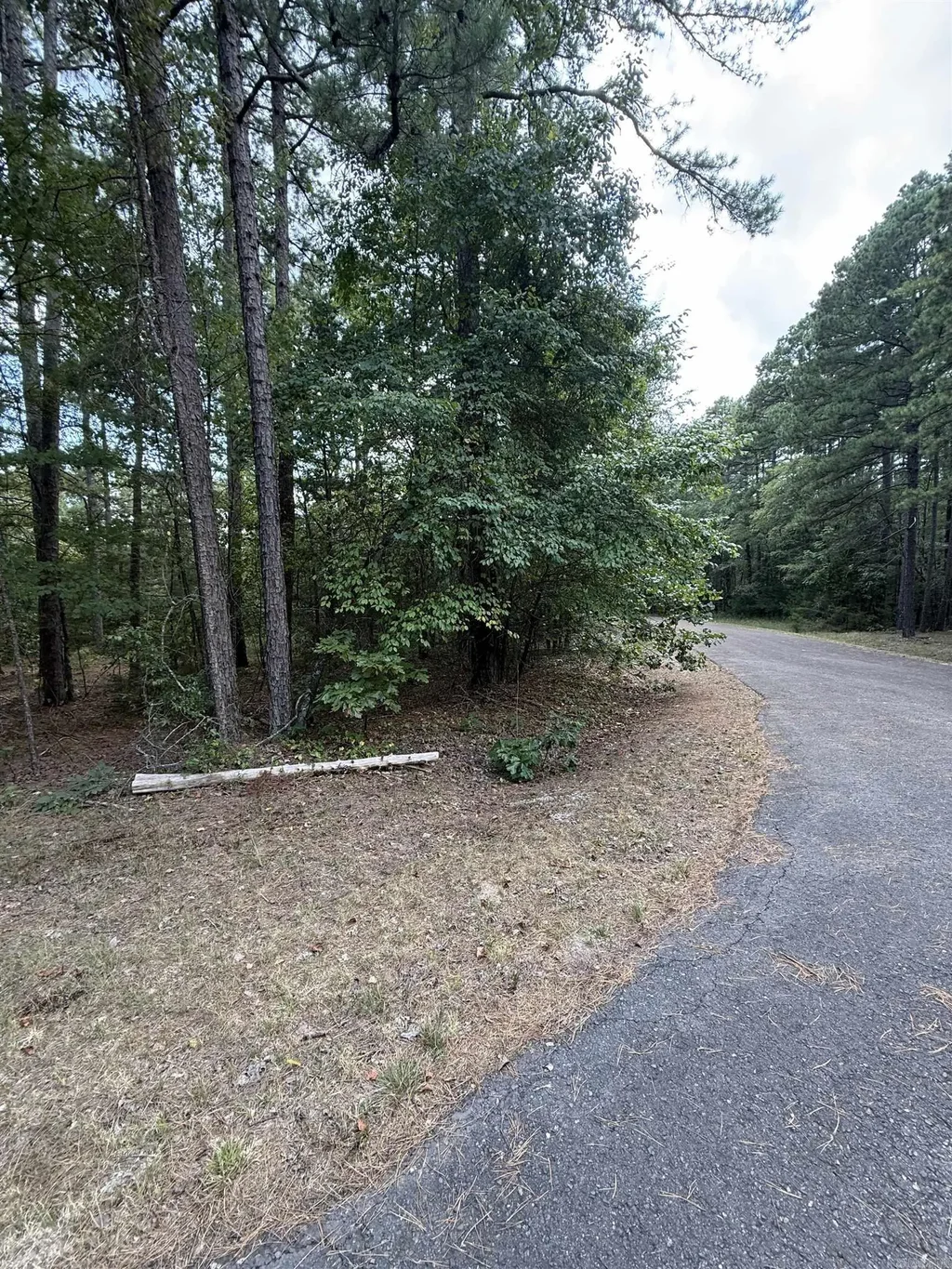 12 Hoya Way, Hot Springs Village