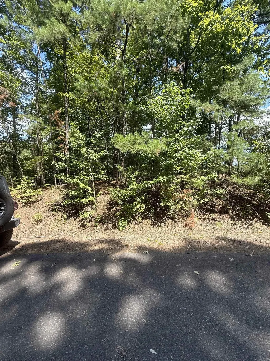 54 Villacarriedo Circle, Hot Springs Village