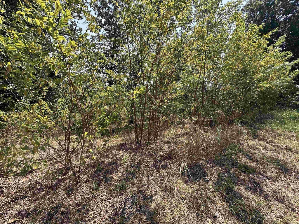 1302 & 1304 View Park Cir, Horseshoe Bend