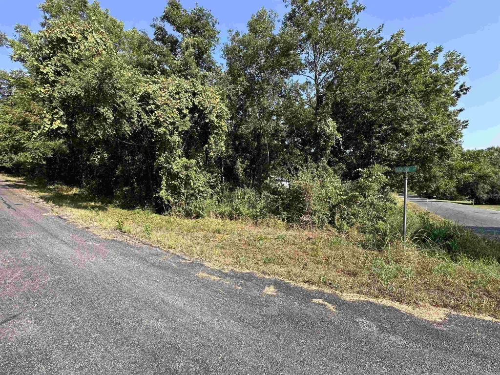 308 Diamond Ln, Horseshoe Bend