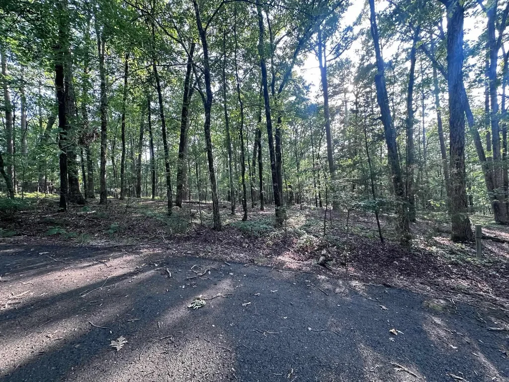 5 Elda Pl, Hot Springs Village