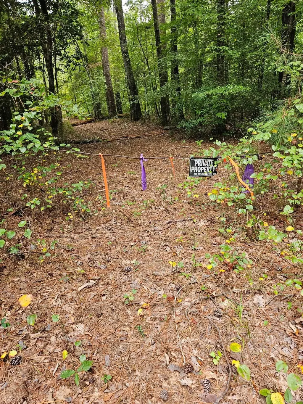 E 28 Acres Dallas 203, Carthage