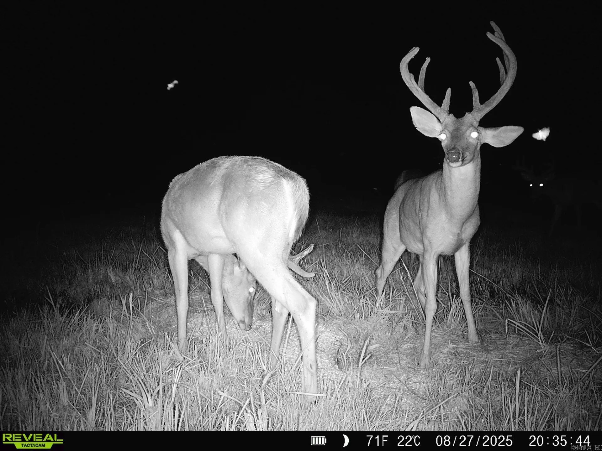 1269 Blackland Road, Oil Trough