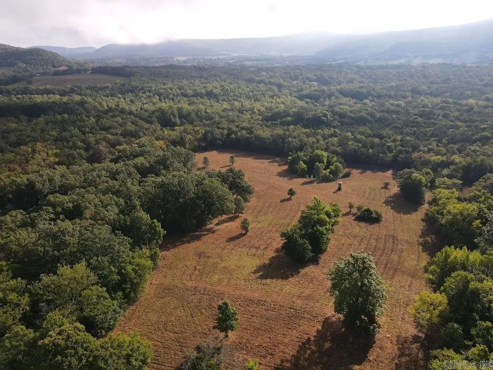 Lick Fork Road,, Marshall