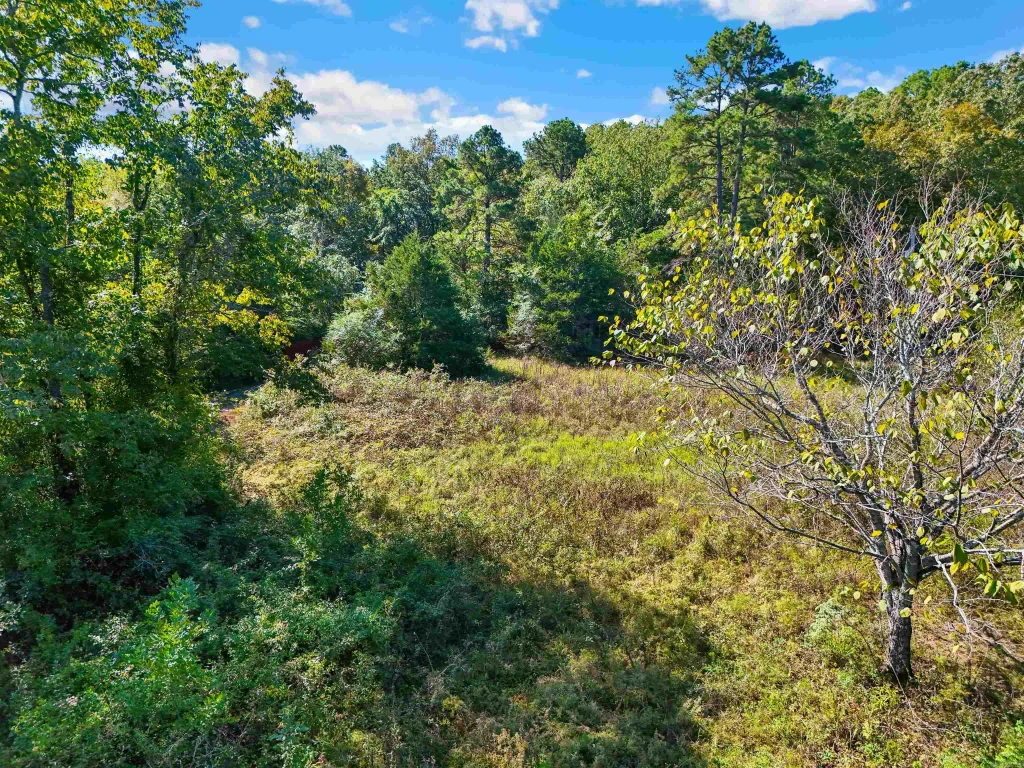 Tbd Tupelo Road, Conway