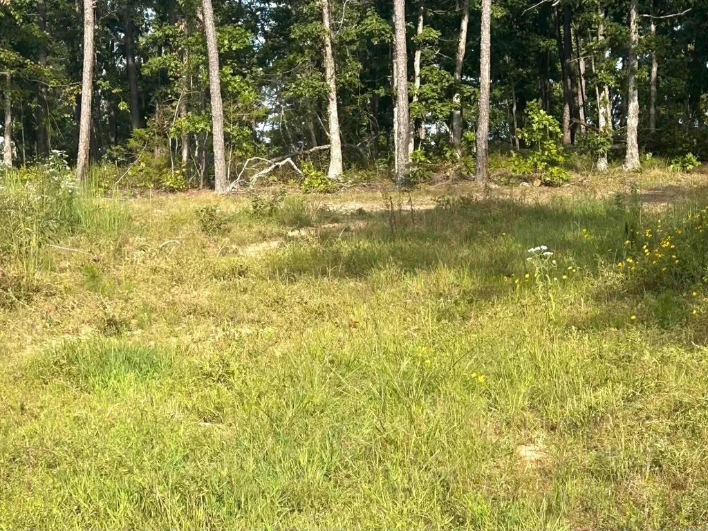 849-889 Presnull Road, Dennard