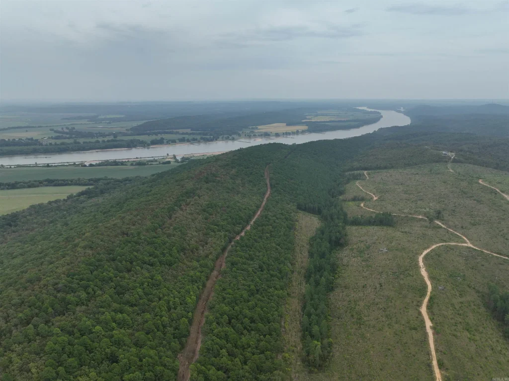 000 Palisades, Bigelow