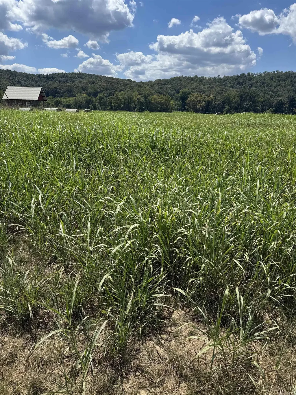 50, 59, 60 White River Run, Guion