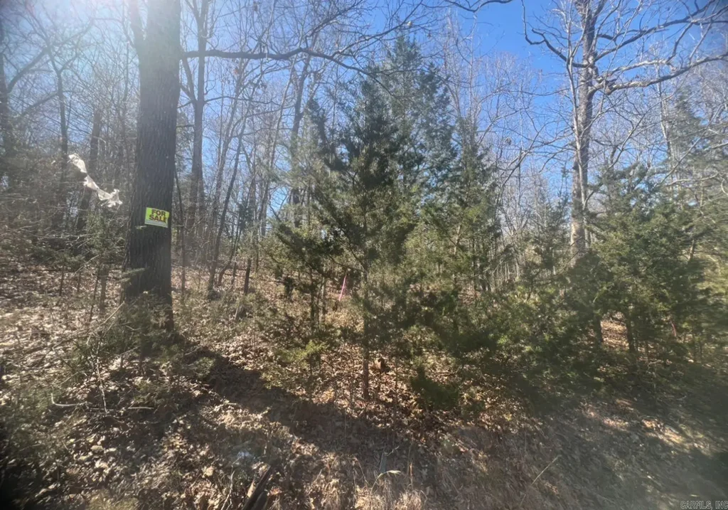 1311 E Ridge Cir Circle, Horseshoe Bend