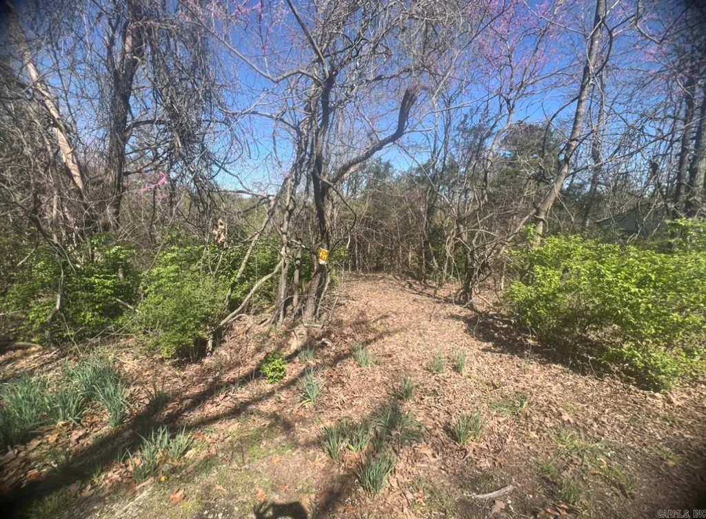 1334 E Ridge Cir Circle, Horseshoe Bend