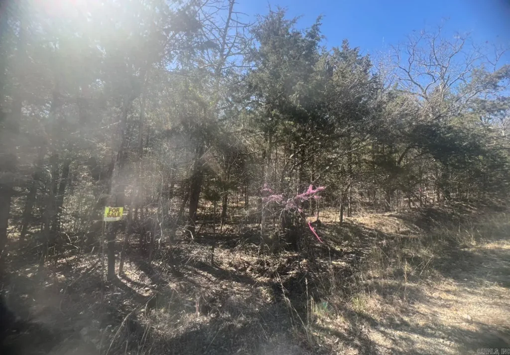 203 Pavilion Ln Lane, Horseshoe Bend