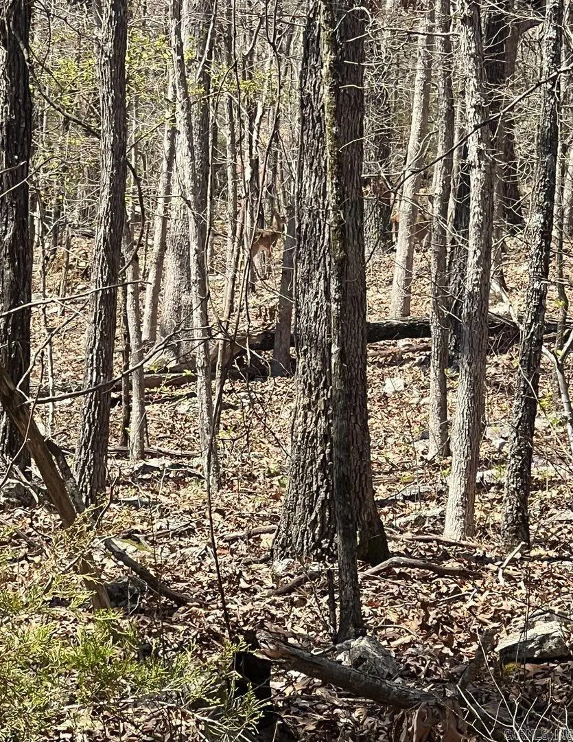 2304 E Forest Hills Cir Circle, Horseshoe Bend