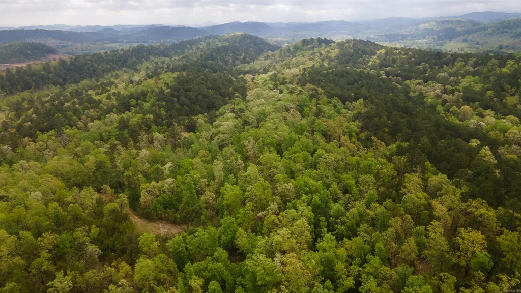 9999 Polk Road 62, Mena