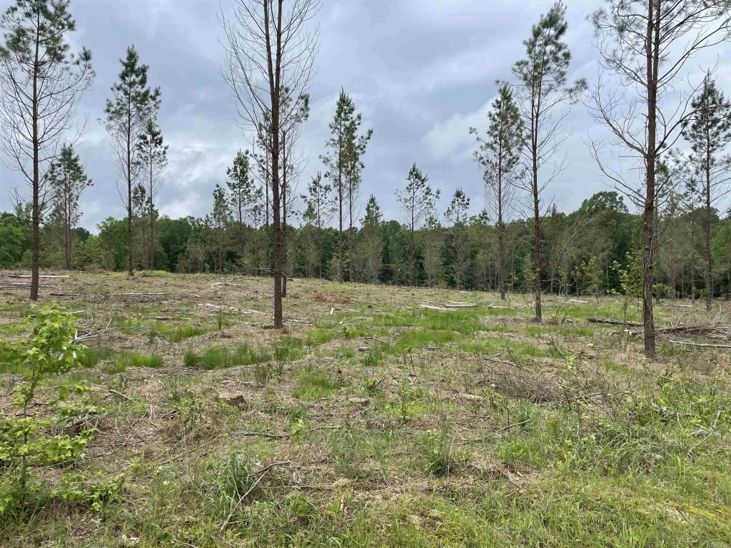 0 Grant 433 (tract B), Sheridan