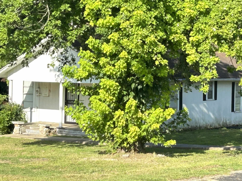 673/681 Ash Flat Drive, Ash Flat