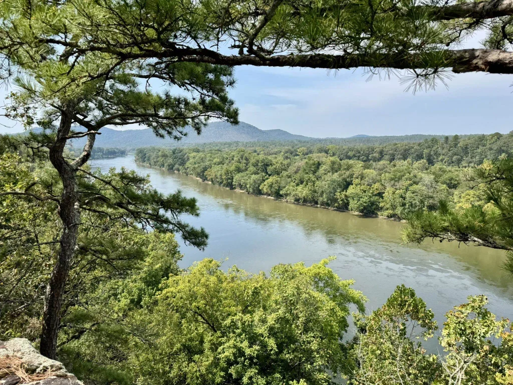 110 Mount Olive Road, Melbourne