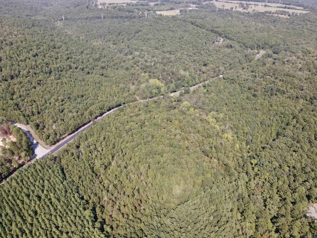 000 Brownsville Road, Higden