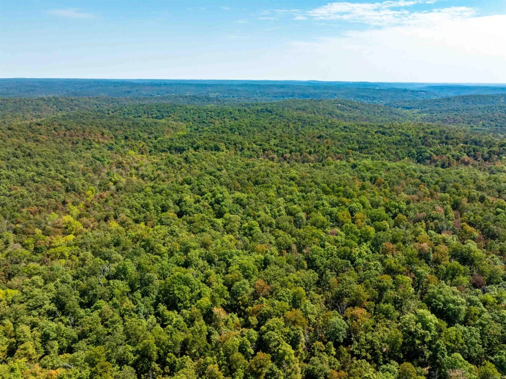 Tbd Red Fox Rd, Hardy