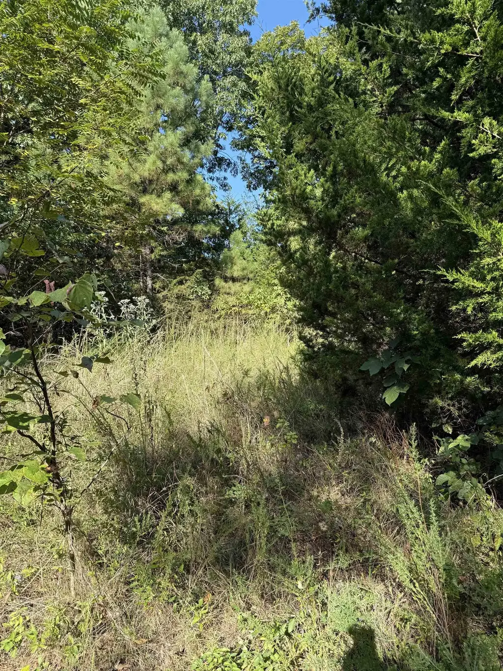 1213 Ridge Circle, Horseshoe Bend