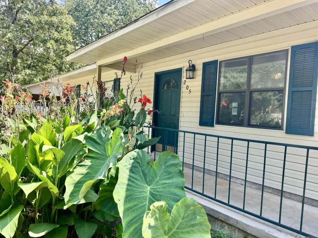 205 W Mountain View Drive, Hot Springs